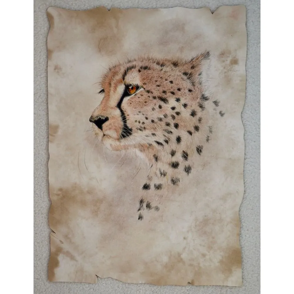 Cheetah