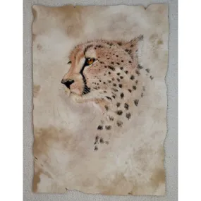 Cheetah