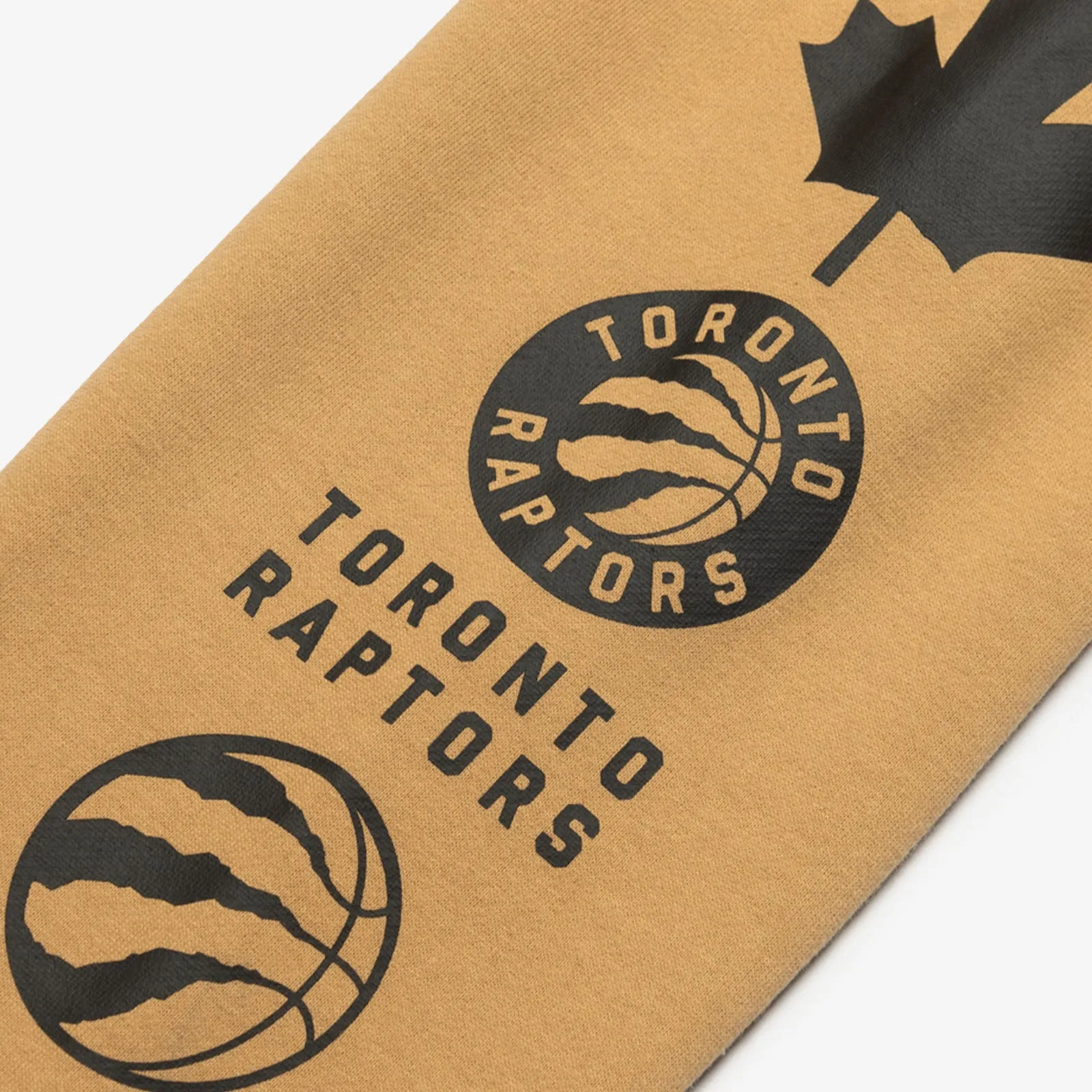 Toronto Raptors 2024 City Edition Pullover Hoodie